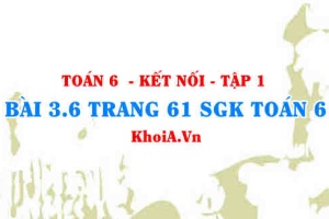 Bài 3.6 trang 61 SGK Toán 6 tập 1 Kết nối tri thức